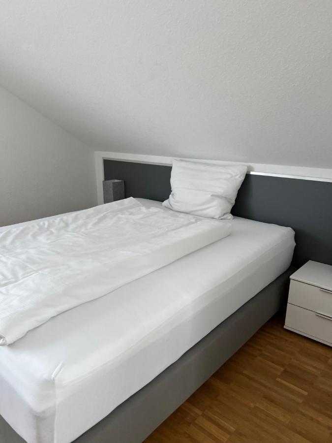 Aparthotel New Age Boardinghaus Bad Wimpfen Zewnętrze zdjęcie